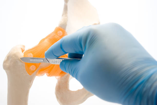 doctor for joint replacement surgery in chembur